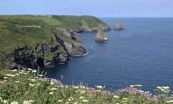 Wild Cornish Coast